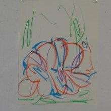 d_1765.jpg