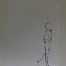 d_810.jpg
