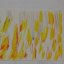 d_1760.jpg