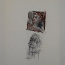 d_516.jpg