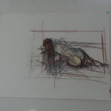 d_1336.jpg