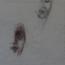 d_554_verso.jpg