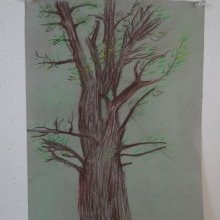 d_1588.jpg
