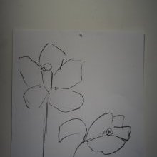 d343_deux_fleurs.jpg