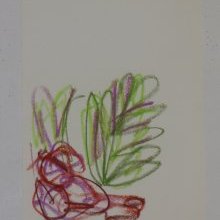 d_1769.jpg