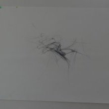 d_1338.jpg