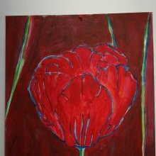 d310_tulipe_rouge_sur_fond_bordeau_1.jpg