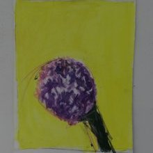 d_1313.jpg