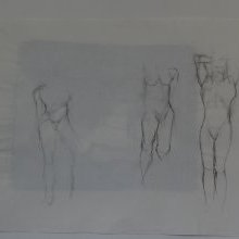 d_851_verso.jpg