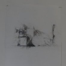 d_913.jpg