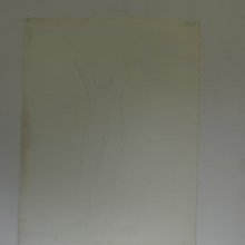 d_811.jpg