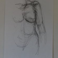 d_1229.jpg