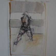 d_1431.jpg