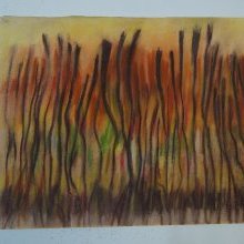 d_1595.jpg