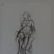 d_586.jpg