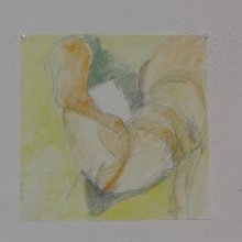 d_1832.jpg