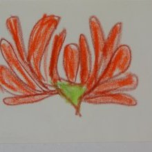 d_1766.jpg