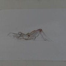 d_1319.jpg
