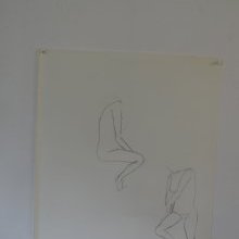 d_767.jpg