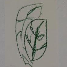 d_1768.jpg