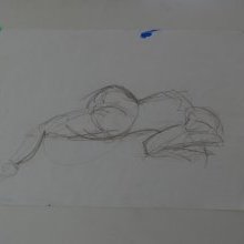 d_1335.jpg