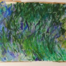d_1354.jpg