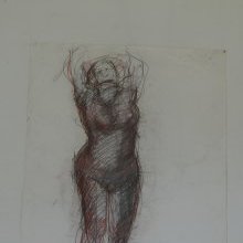 d_817.jpg