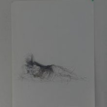 d_1315.jpg
