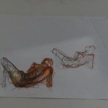 d_1320.jpg