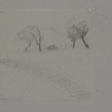 d_1969.jpg