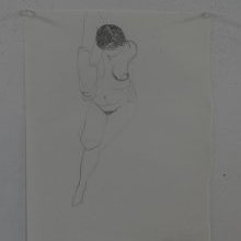 d_1896.jpg
