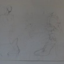 d_1245_verso.jpg
