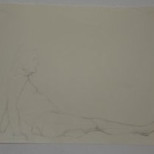 d_1901.jpg