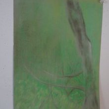d_1592.jpg