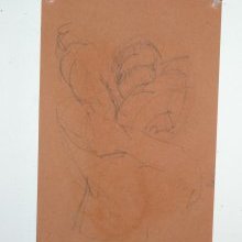 d_1777.jpg