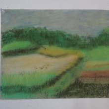 d_1594.jpg