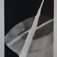 d_1611.jpg