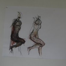 d_764.jpg