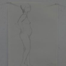 d_1894.jpg