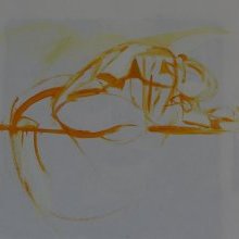 d_855_verso.jpg