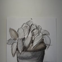 d396_la_potee.jpg