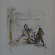 d_545.jpg