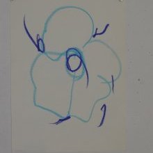 d_1764.jpg