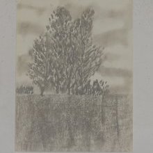 d_1977.jpg