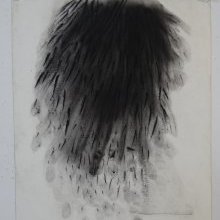 d_1599.jpg