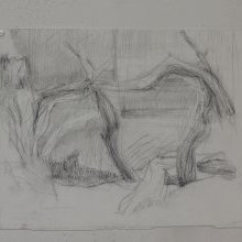 d_1756.jpg