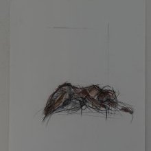 d_1316.jpg