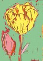 Tulipe jaune et verte